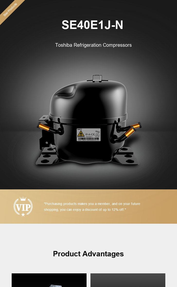 Toshiba Compressor SE40E1J-N, technical parameters pdf, structure diagram